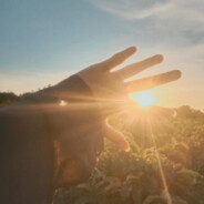 米花镇电线宝宝