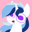 Pony