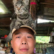 老大哥  半只狐狸