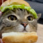 Cat Burger