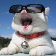 杜卡迪wsth1031475851