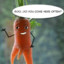 Mr Carrot