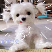 磨刀霍霍向音乐