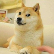 小黄小黄干啥都黄