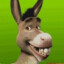 Donkey