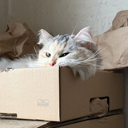 Ambrosius - steam id 76561197965624928