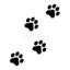 paw.prints9