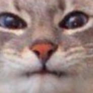 Rolbin - steam id 76561198041585648