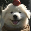 bunny bunny bunny