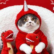 满满是个齐刘海