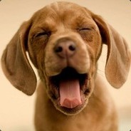 你亲爱的博哥哥