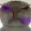 神不猛攻我猛攻