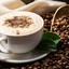 Coffe4ochek