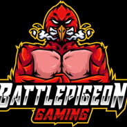 Battlepigeon avatar