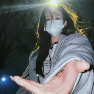 朱颜辞镜花辞树