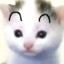 林田惠