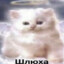 lilchich228