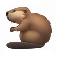 BÓBR