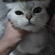 请叫我周洁公主