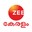 ZeeDoo