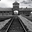 Auschwitz Birkenauch