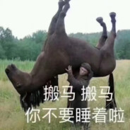 赵匡胤穿龙袍 唐完就宋