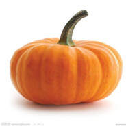 全能大师瓜先生