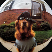 Busta