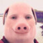 John Pork