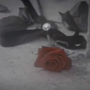 以钳是以钳蟹仔是蟹仔