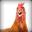Chicklemick