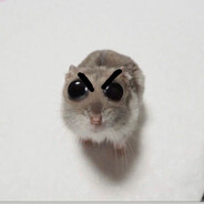 meowmeow