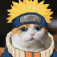 Naruto_cat