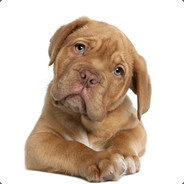 人狗枪水大帅逼