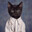 ninjakitten23 avatar