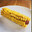 Corn on Cob?