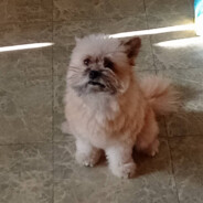 八加九槍法很準甩法很穩