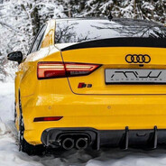 audi enjoyer avatar