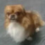 kitkat's avatar