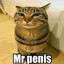 Mr.penis为什么