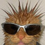Jotapê's avatar