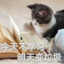 蓝天白石