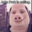 johnathon pork