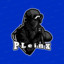 PLeinx