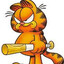 -GARFIELD-