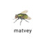 Avatar of player M0geerTvei