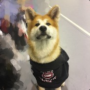 凤落梧桐梧落凤