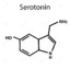 5-HT3 receptor