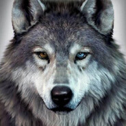 Alpha
