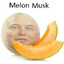 melon musk